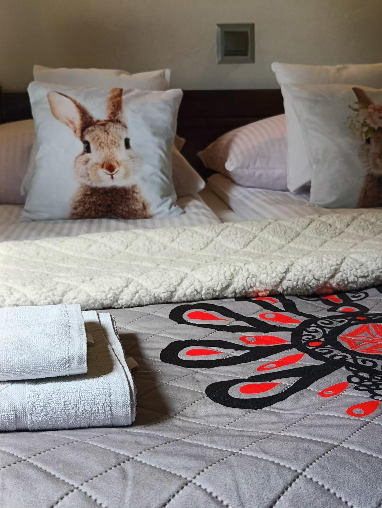 Pokoje I Apartamenty U Sabiny - Dostep Do Jacuzzi Tylko W Wybranych Opcjach Sprawdz Ponizej Szczegoly Rezerwacji Szczawnica Exterior foto